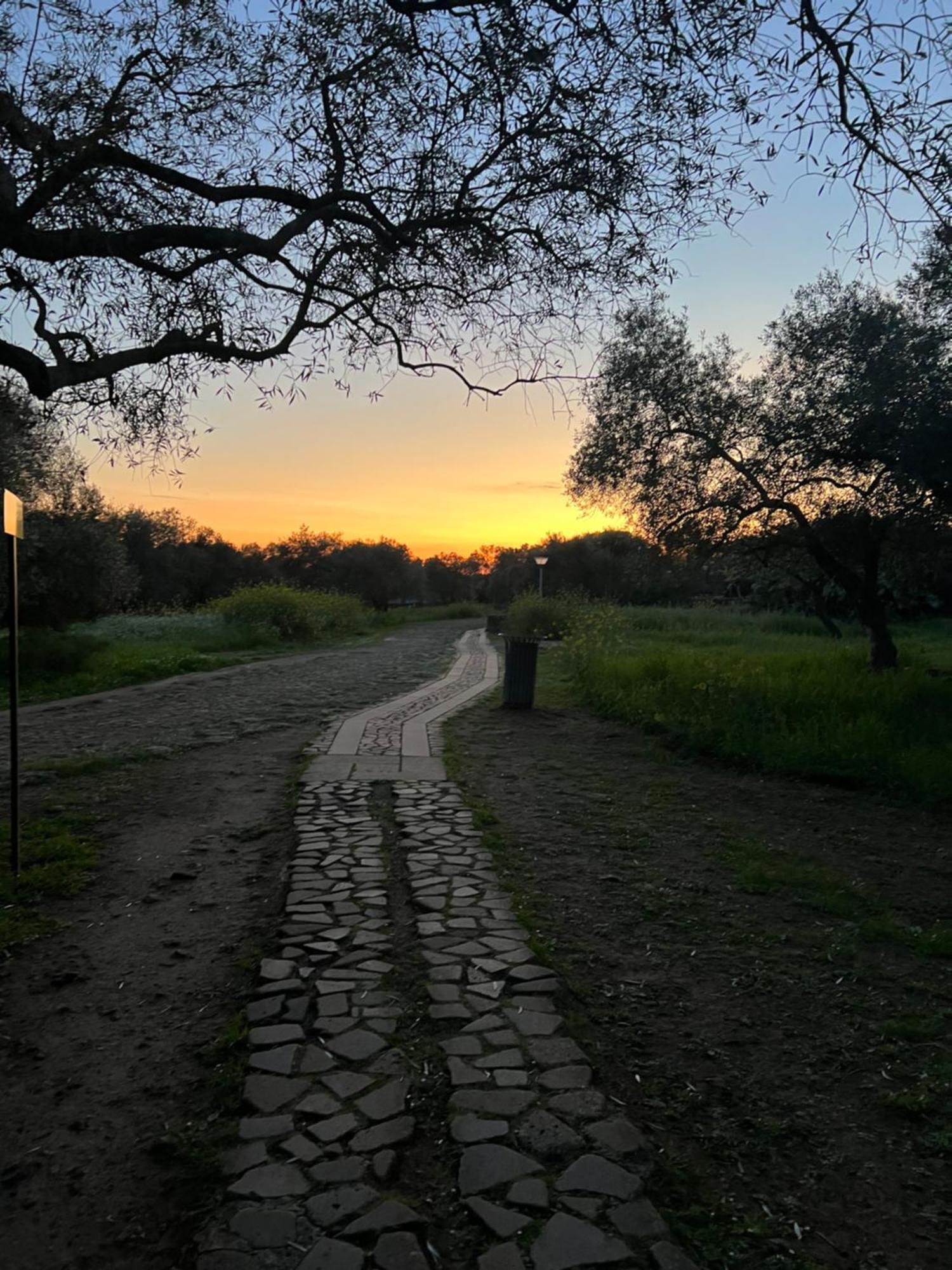 Muristene Pozzo Santa Cristina Paulilatino エクステリア 写真