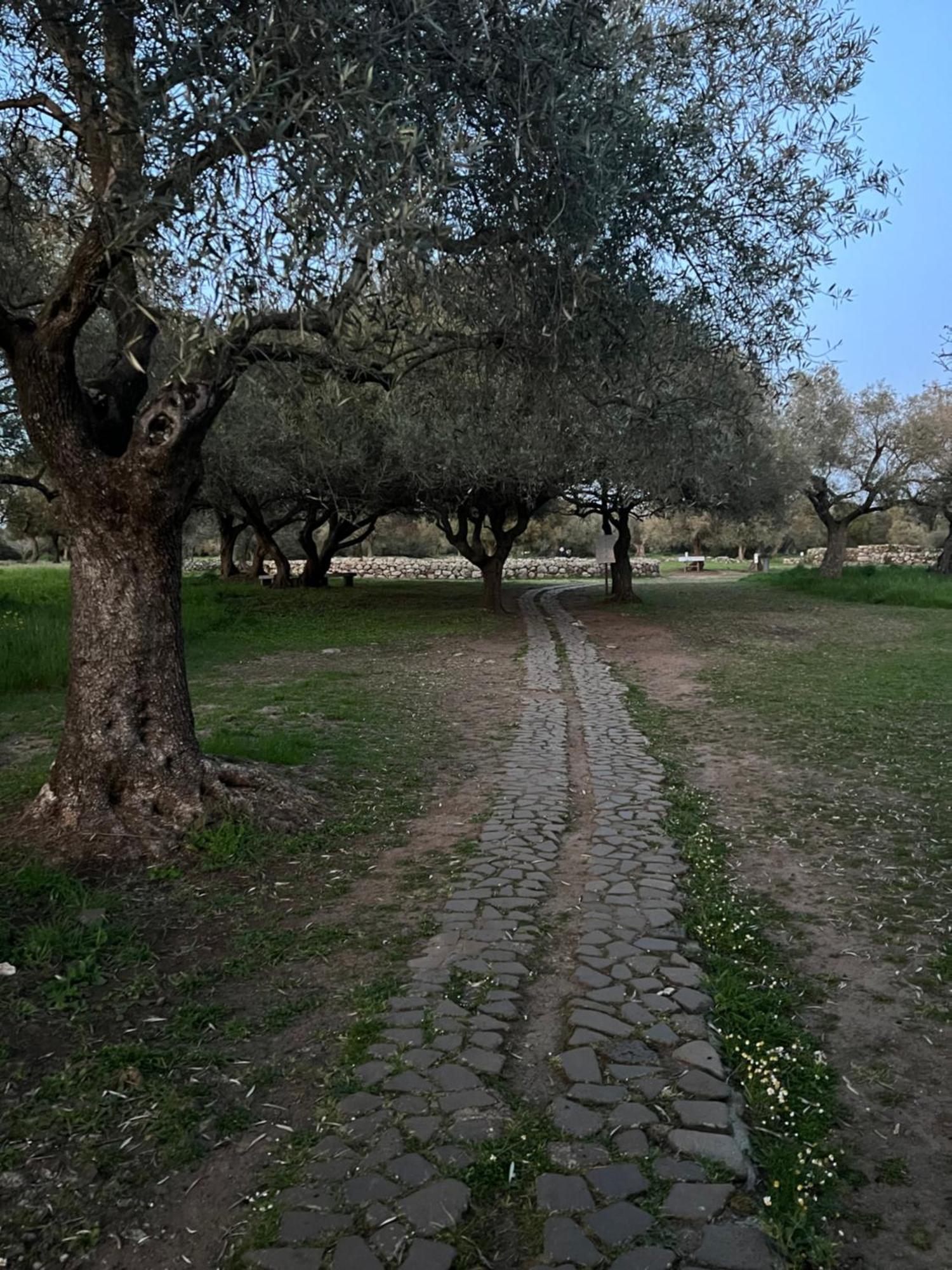 Muristene Pozzo Santa Cristina Paulilatino エクステリア 写真