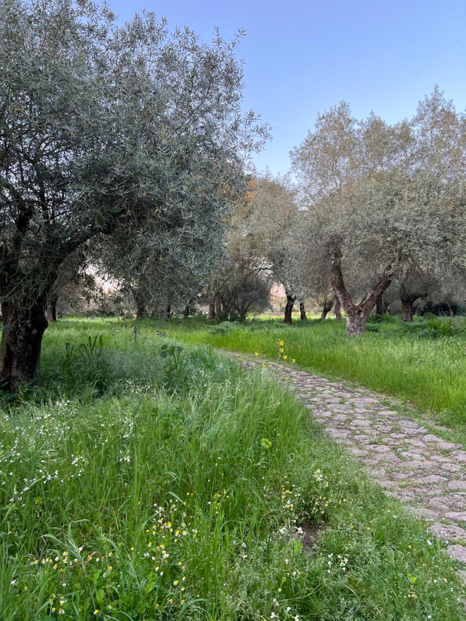 Muristene Pozzo Santa Cristina Paulilatino エクステリア 写真