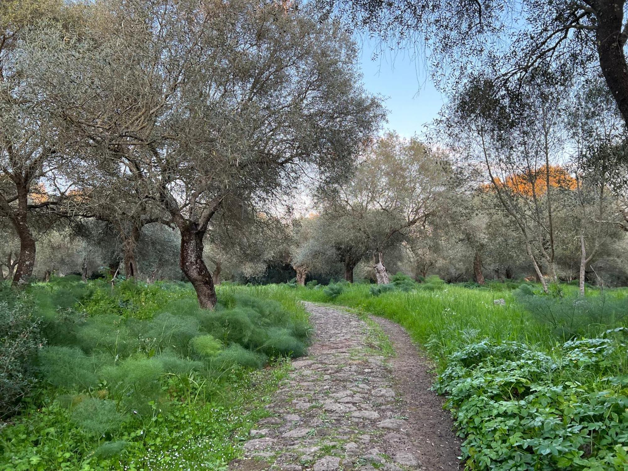Muristene Pozzo Santa Cristina Paulilatino エクステリア 写真