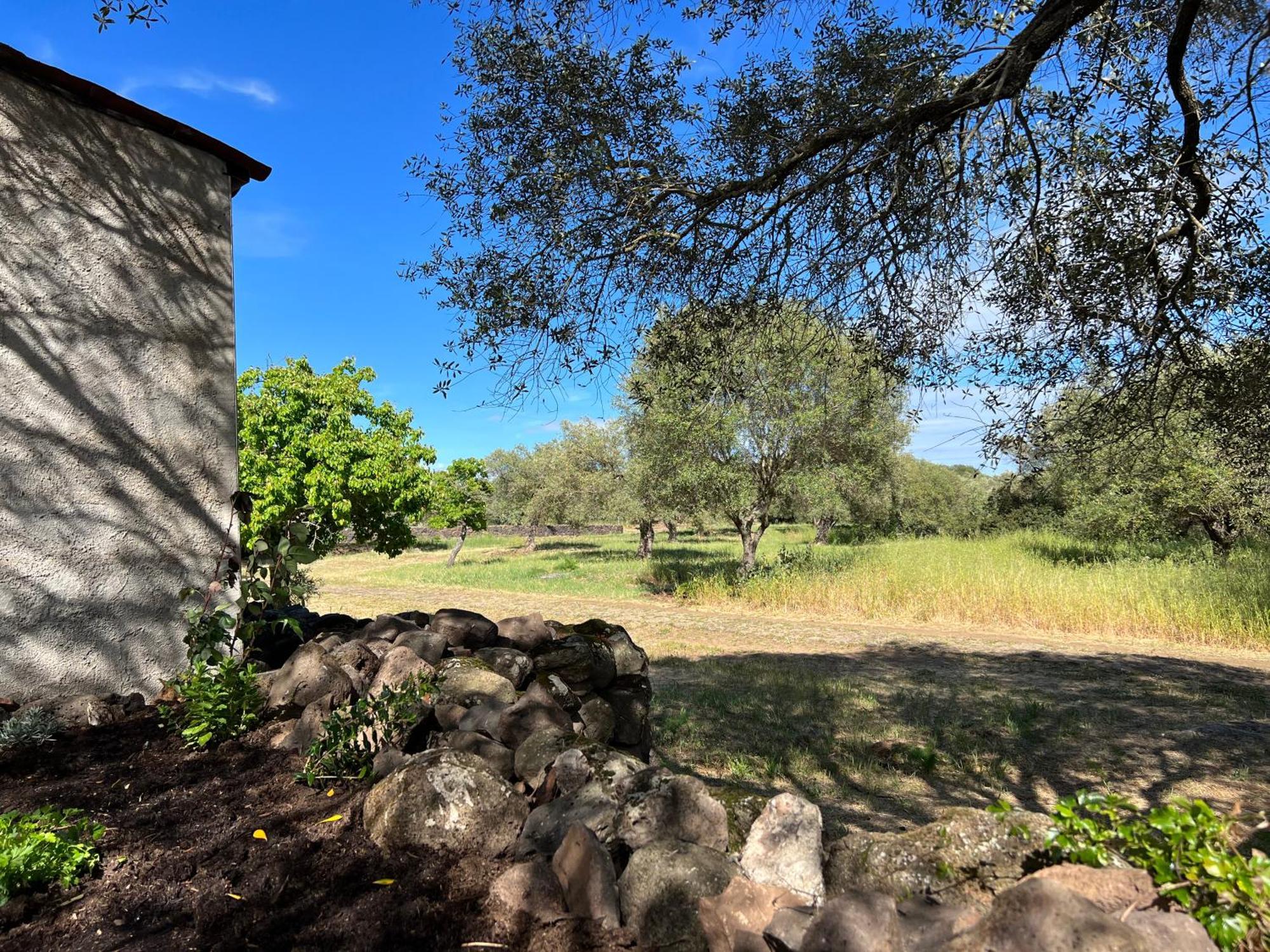 Muristene Pozzo Santa Cristina Paulilatino エクステリア 写真