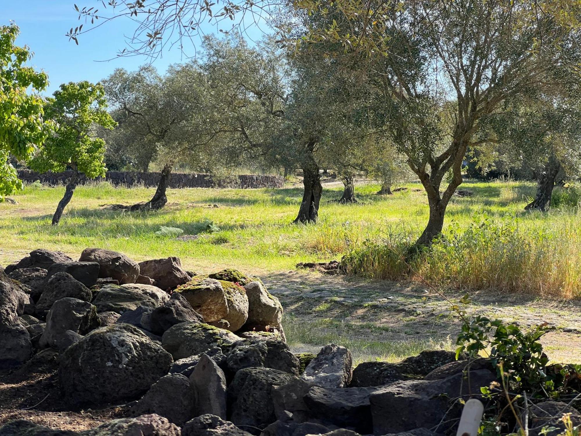 Muristene Pozzo Santa Cristina Paulilatino エクステリア 写真